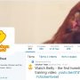 Курица в твиттере или реклама сайта в соцсетях без вложений