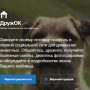 Соц сеть для животных ДружОК: новое на сайте Одноклассники