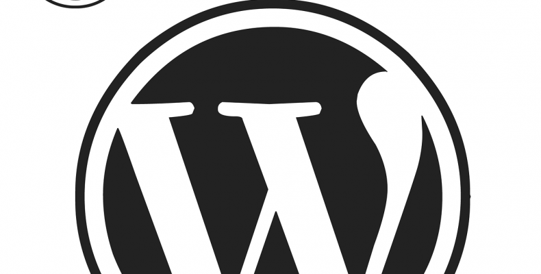 WordPress: история, преимущества, недостатки, версии