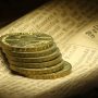 Как заработать на адвего? Виды и стоимость работ